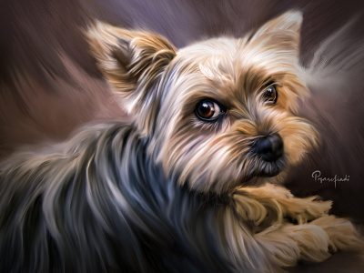 Graydy Buddy animal painting digital art digital painting digital portrait dog illustration realism