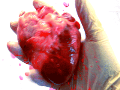 Heart for hearts sake 15folds gif