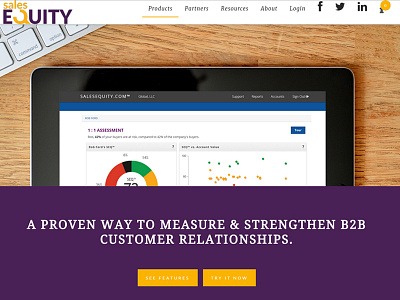 Salesequity.com Redesign design site redesign web website redesign wordpress