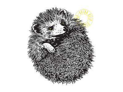 Wit-Bellied Hedgehog