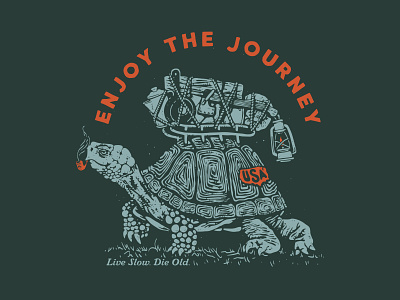 Enjoy the Journey box turtle camping gear outdoors tortoise