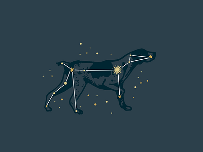 Canis Major Constellation canis major constellation logo stars