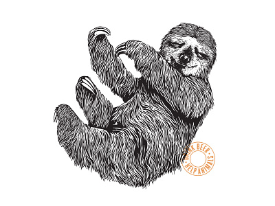 Nap in a Hammock animal beer branding brewery illustration sloth