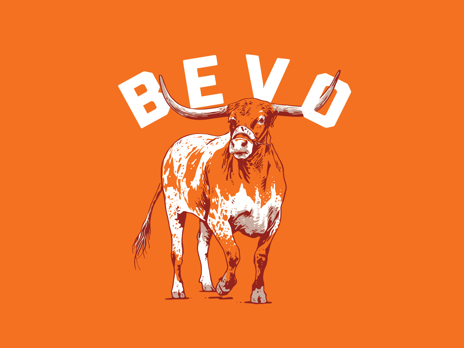 Bevo Illustration By Adam Johnson On Dribbble