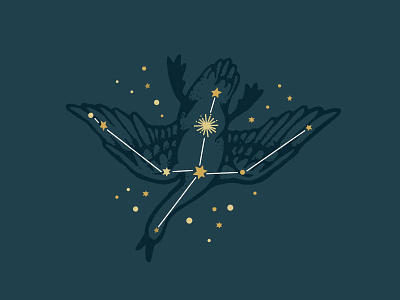 Constellation cygnus The Constellation