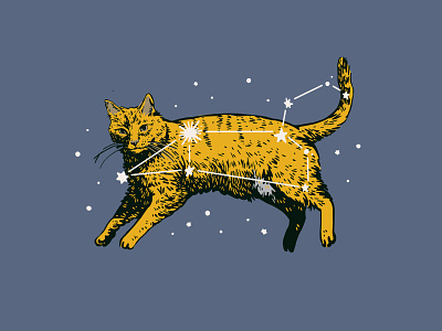 Leo Constellation Cat