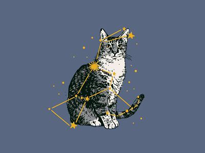 Orion Constellation Cat cat constellation kitty meow orion