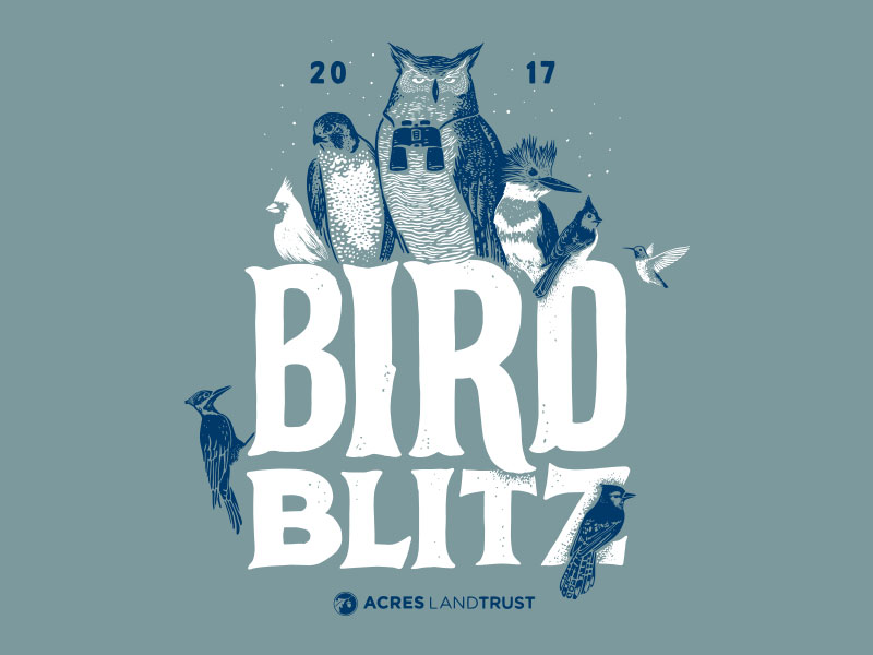 Birdblitz
