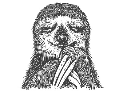 Sloth sloth