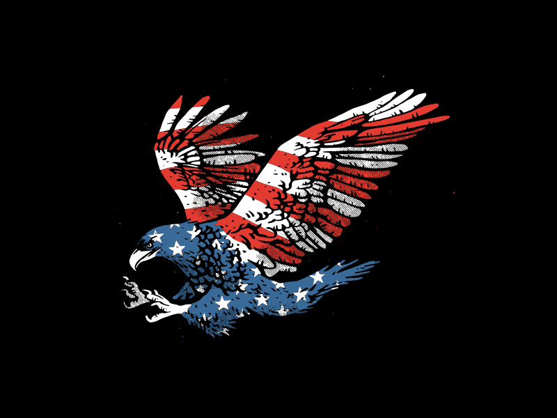 'Merican Eagle by Adam Johnson on Dribbble