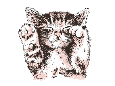 Meow illustration kitten kitty