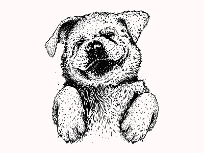 Pup dog illustration indiana lab labrador pup puppy
