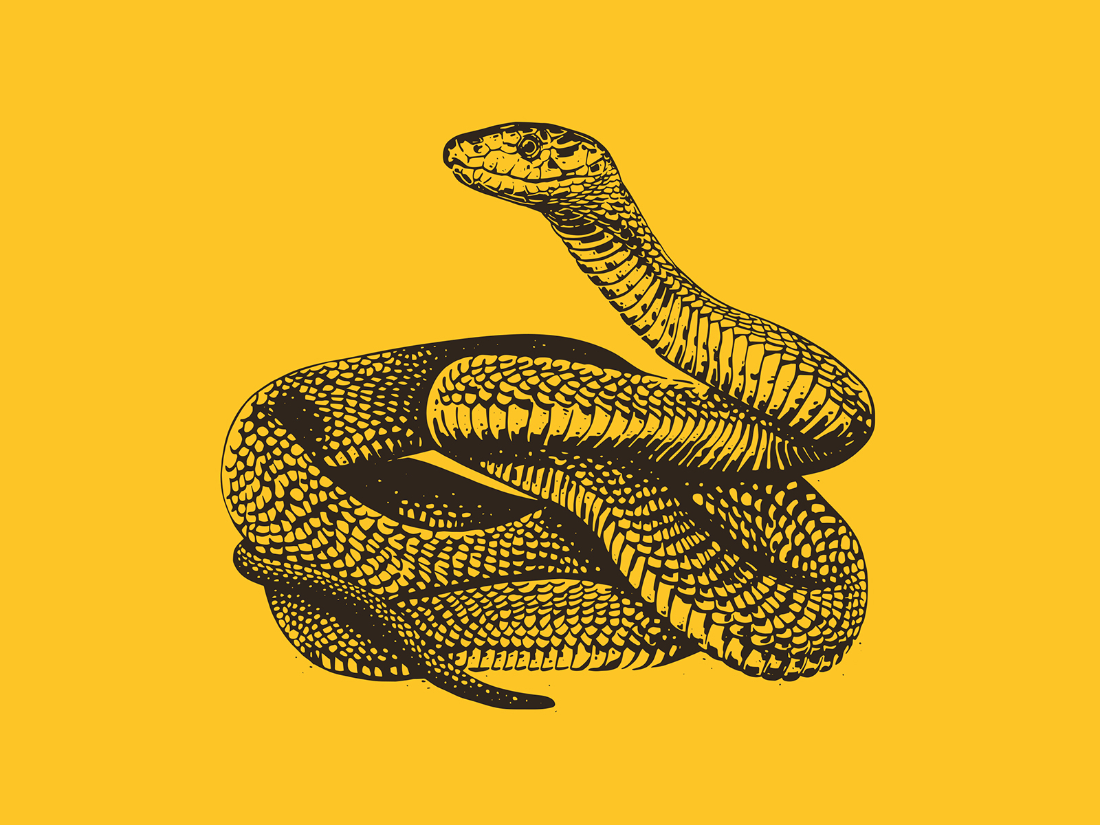 Stock Art Drawing Of A Black Mamba Inkart