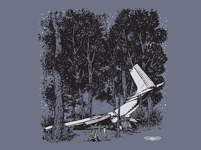 Flew the Coop crash illustration plane survival