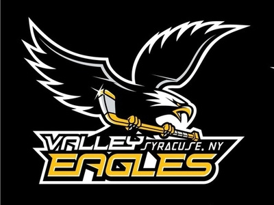 Valley Eagles Logo black branding character design eagle logo flat hockey logo ice hockey icon illustrator logo mascot logo new york sports logo typography vector