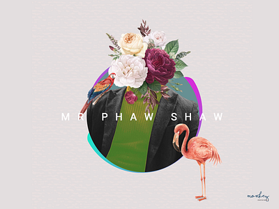 Mr. Phaw Shaw design icon illustration photoshop vector