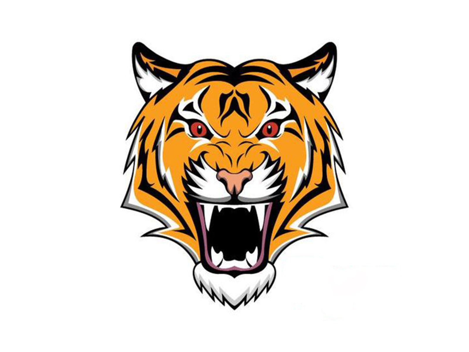 Tiger Vector Art by Shazzat Hossain on Dribbble