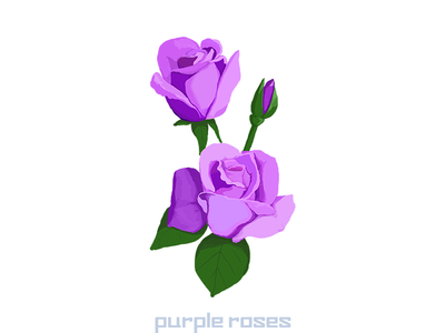 purple rose