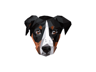 LowPoly - Dog black brown design dog geometric art illustration illustrator lowpoly lowpolyart orange vector