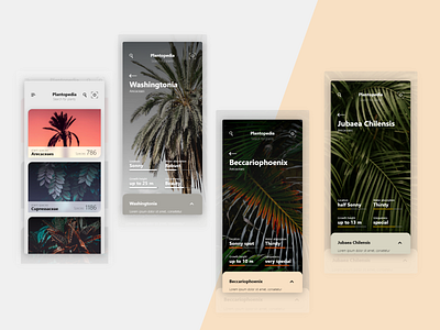 Some Plantopedia designs app app design application color dashboad design home illustration information lexicon mobile plant plants ui ui ux