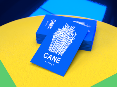 Cane Cachaca Cards adobe dimension adobe photoshop art branding brazil design handstyle illustration logo rendering typography