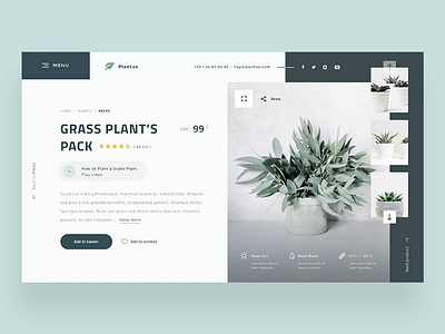🌿🌱 Plantae — Product Page Concept 🏷️ dailyui dailyux dailywebdesign ecommerce eshop plants product page ui uidesign ux webdesign website