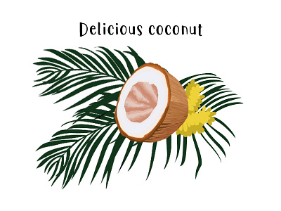 Delicious coconut design illustration plants
