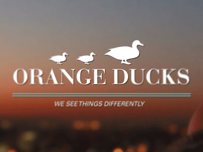 These ducks ain't orange! design ducks orange site