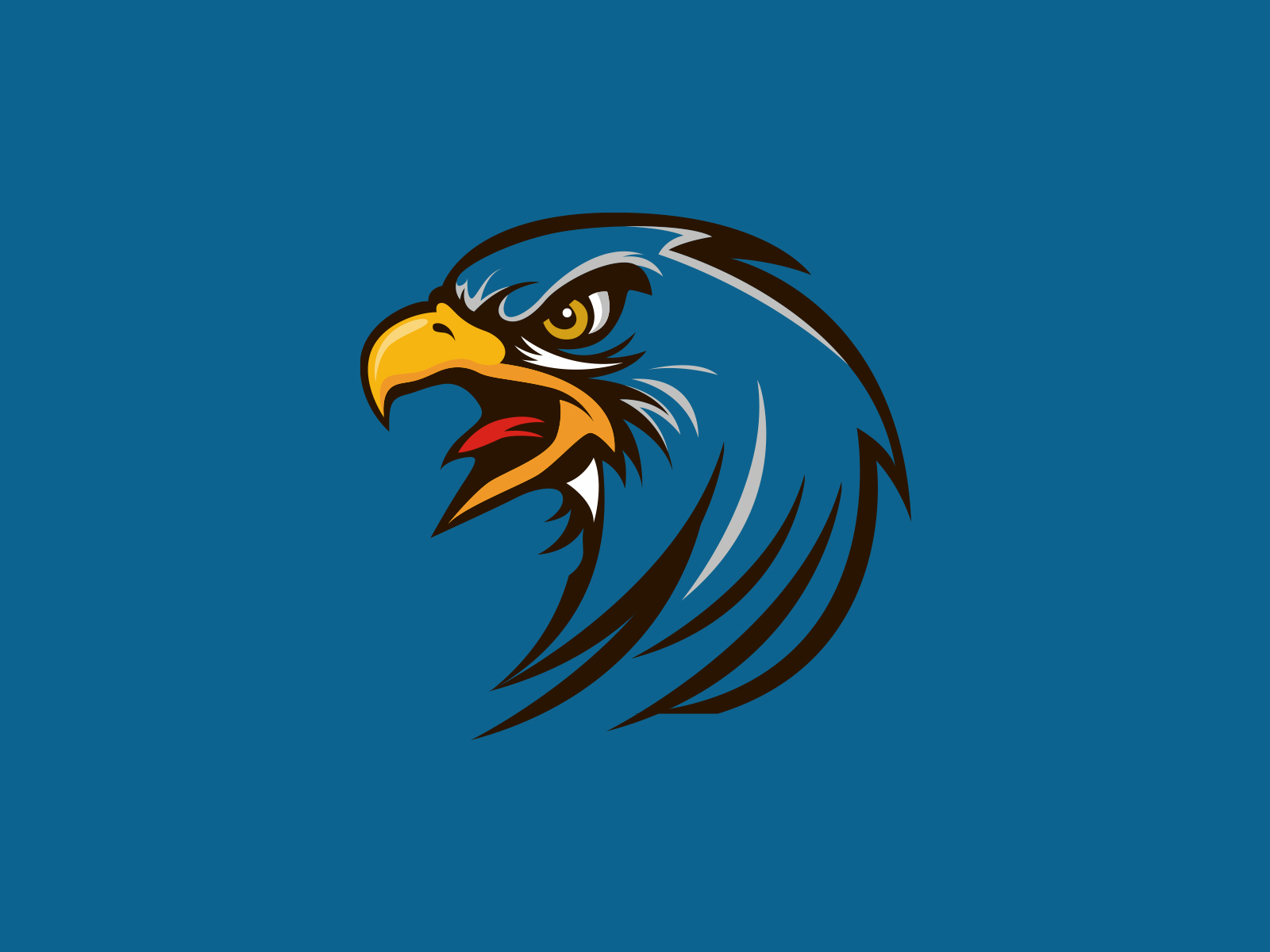 Bald American Eagles Head by MadeByFaheem on Dribbble