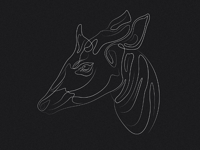 Okapi adobe illustrator animal black black and white digital art illustration lineart lines okapi vector vector art white