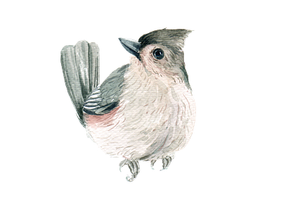 bird watercolor icon and element animal bird bird logo element icon symbol watercolor wildlife wing