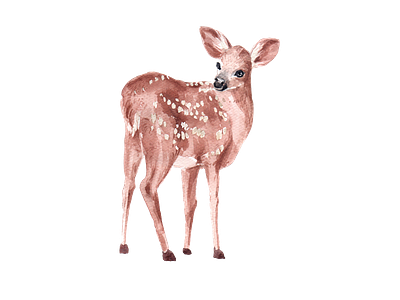 deer watercolor element