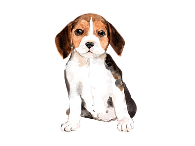 Cute Beagle watercolor animal beagle cartoon design dog element icon illustration logo png sticker watercolor