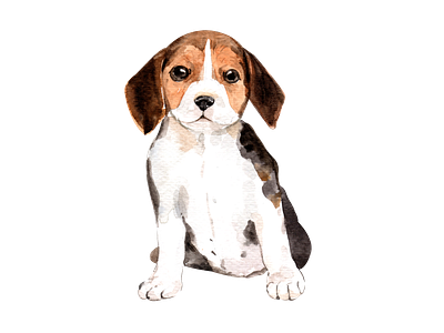 Cute Beagle watercolor