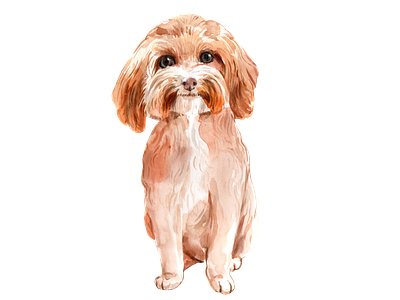 cute dog watercolor cartoon cute design dog element icon illustration logo png sticker watercolor