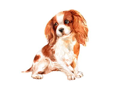 cute dog watercolor cute design dog element icon illustration logo png sticker watercolor