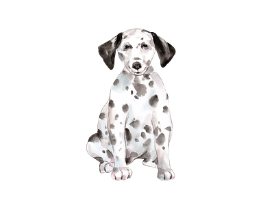 cute dog watercolor cartoon cute design dog element icon illustration logo png sticker watercolor