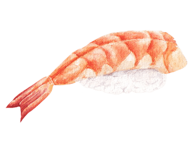 Sushi Japanese food watercolor