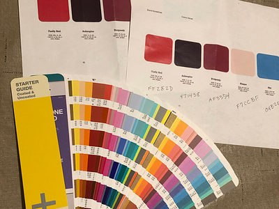 Brand color selection brand refresh branding color color palette fastly hex palette pantone pms