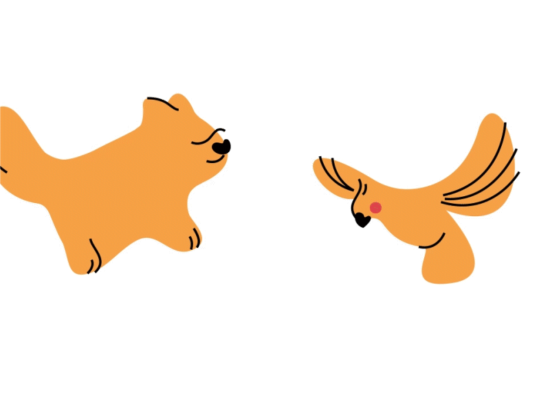 Petlove - Pets after effects bird dog illustration logo motion motion design motiongraphics pet