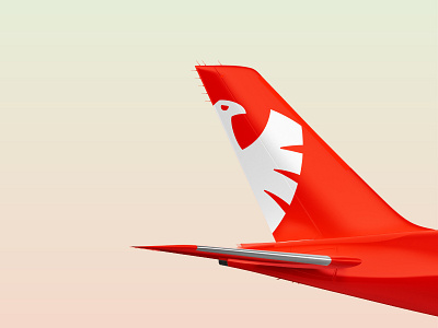 FFKR aircraft aircraft airplane branding identity logo reduce symbol