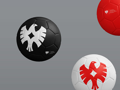 FFKR balls ball bird branding eagle ffkr football kyrgyzstan logo logotype national team rebranding soccer sport wings