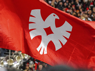 FFKR flag bird branding eagle ffkr football icon identity kyrgyzstan logo logotype sign soccer sport symbol team