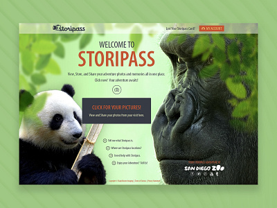 Storipass Landing UI
