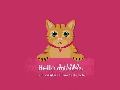 Hello Dribbble :D cat design hello dribbble illustration