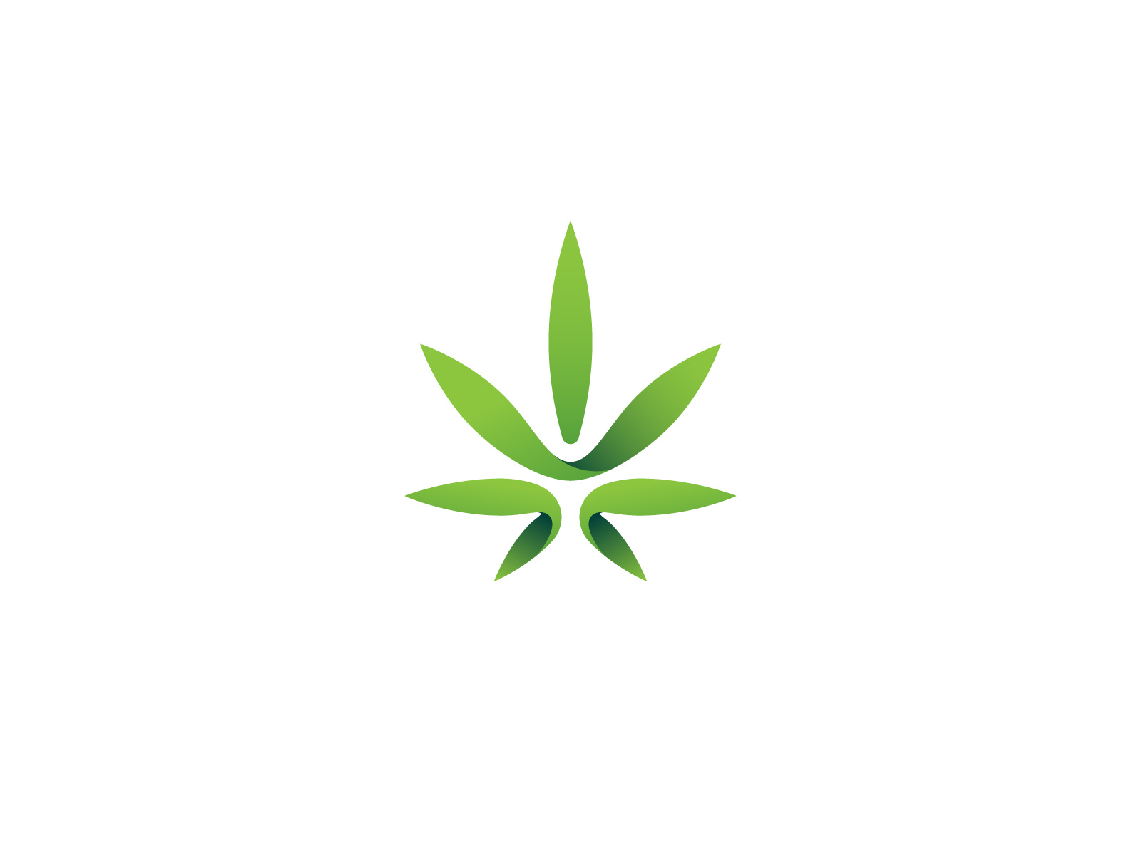 Cannabis Leaf Logo Concept by Rohmatul Insan on Dribbble