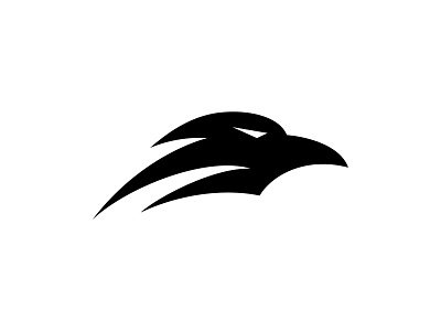 Raven Logo bird clean eagle falcon icon logo logodesign minimalist raven simple vector