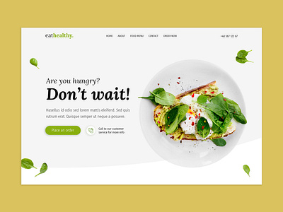 Healhy Food landing page design