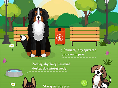 Infographic Safety Rules in dogs park animals art design digital digital art digital painting dog dogs drawing flat illustation illustration illustrator infografika infographic infographic design typography vector