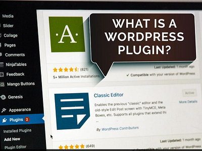 What is a WordPress plugin by Subraa Developer Singapore